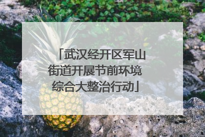 武汉经开区军山街道开展节前环境综合大整治行动